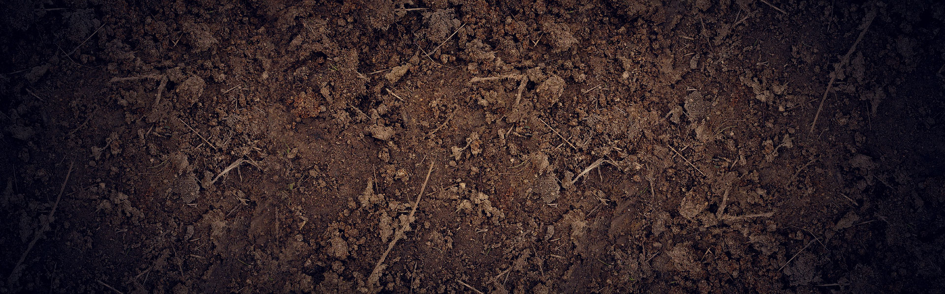 soil.jpg