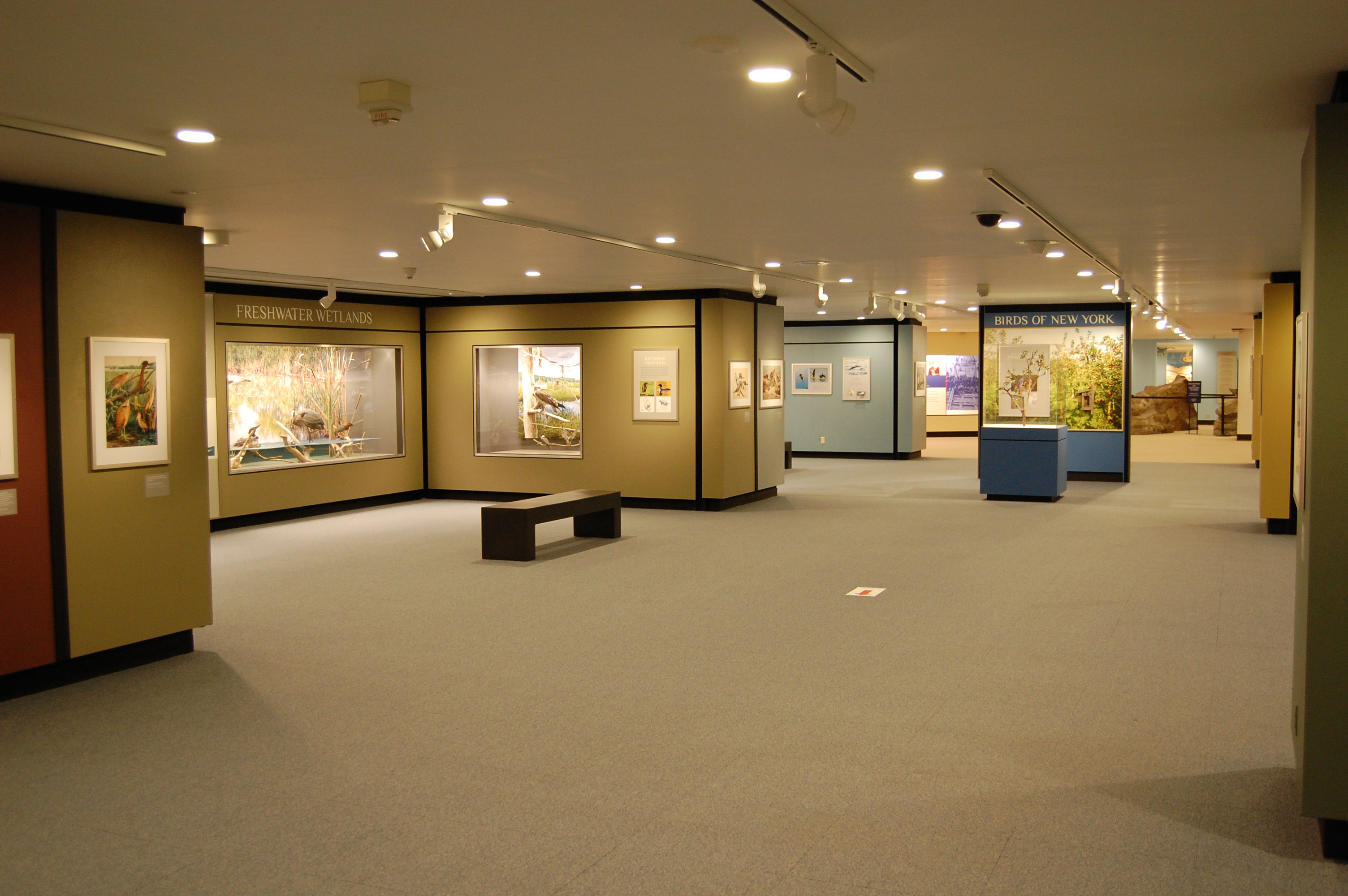 Bird Hall