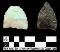 research and collections 