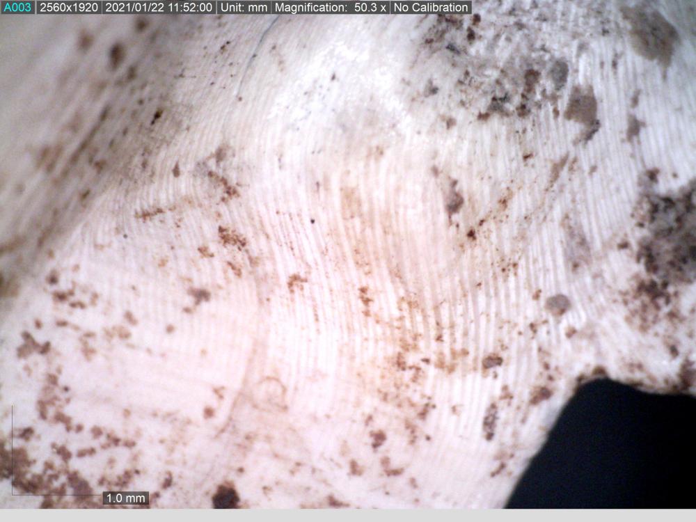 Magnification of crucible base showing the shell layers