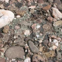 rock bed with several large stones