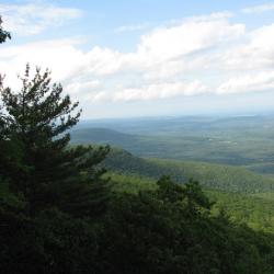 photo of landscape