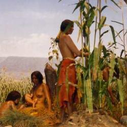 Archaeology