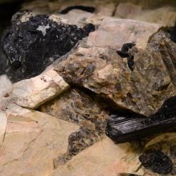 geo-collections_0.jpg