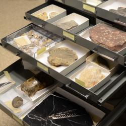 invert-paleo-collection_0.jpg