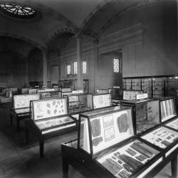 1950s_display_cases.jpg