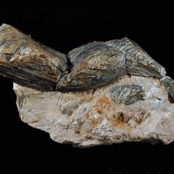 columbite