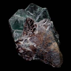 Clinochlore and chondrodite