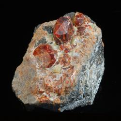 chondrodite