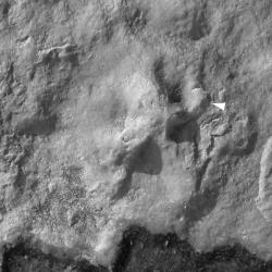 Satellite map detail