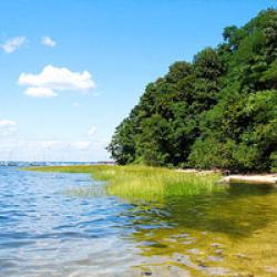 Photo of lake and trees