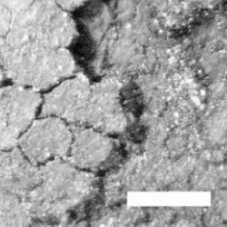 Cooking Residue detailed closeup 
