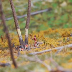 Haudenosaunee Village Model - Stripping Bark