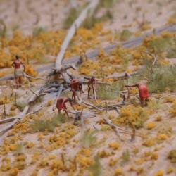 Haudenosaunee Village Model - Gathering Wood