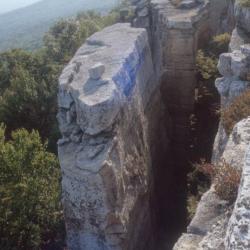 rock crevices 