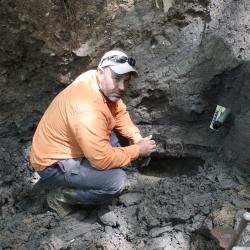 Stratigraphy