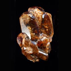 uvite