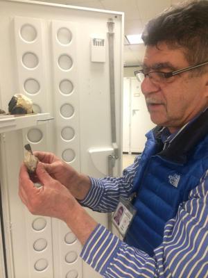 Behind the Scenes in the Mineralogy Collection