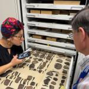 Coupling Indigenous Artwork and Ancient Artifacts