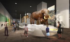 State Museum Announces Gallery Renovation Project