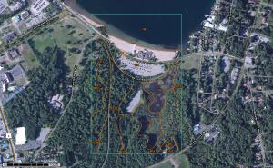 The Stratigraphy of the Million Dollar Beach Site