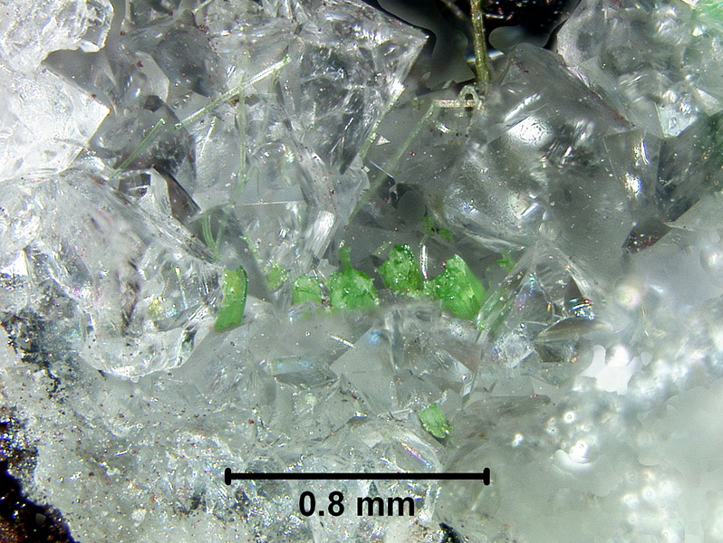 First occurrence of Dissakisite-(Ce) and Jamborite in New York