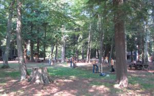 Introduction to Work at the Million Dollar Beach Site