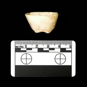 Science Tuesday: The Power of a Closer Look - Unearthing Personal Possessions of Enslaved African Americans
