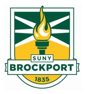 SUNY Historians Network Pilot Series, Spring 2024: U.S. History