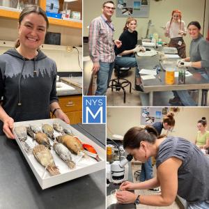 From Field to Lab: Research Associate in Ornithology Connects Conservation with Museum Collections