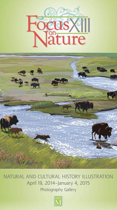 Buffalo Landscape graphic