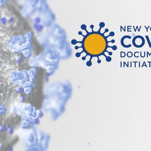 covid-19_documentation_initiative_logo.jpg