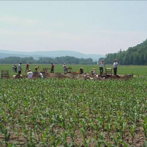 fieldarch.jpg