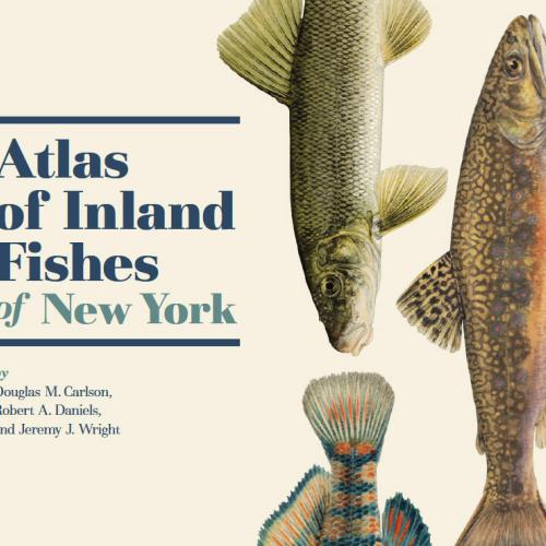 fish-atlas-cover-sq_0.jpg