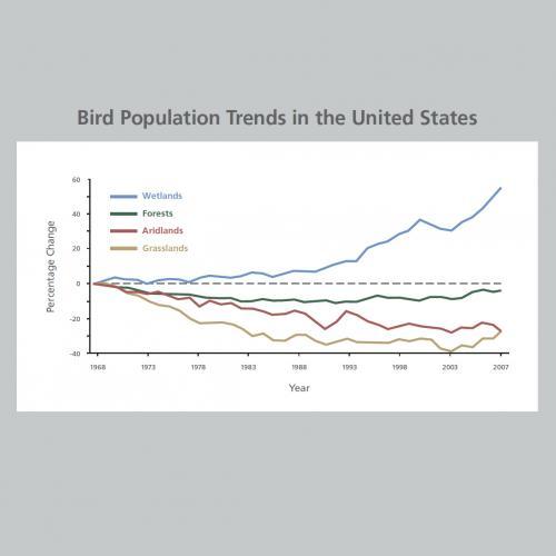 bird-population-trends
