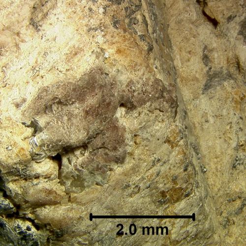 Dissakisite detail
