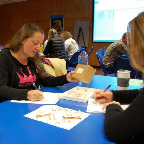 Evolution Workshop