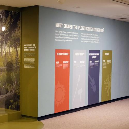 NYSM Ice Ages Extinction Gallery View