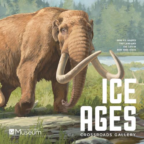 Ice Ages: How Ice Shaped the Land and the Life in New York