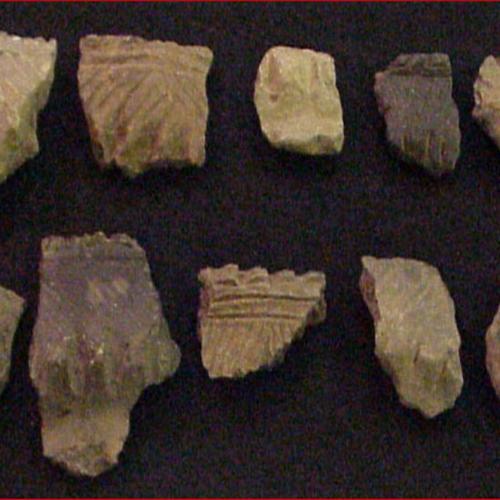 prehistoric collection 