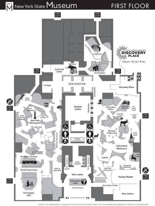NYSM First Floor Plan