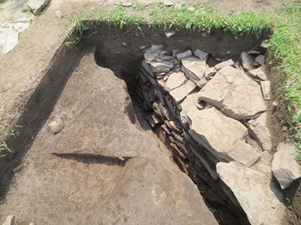 Pethick Site